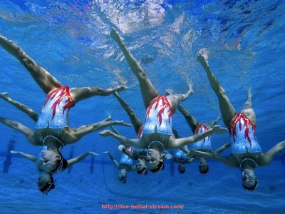 黑白体育直播-广州CBA球队所在城市及主场环境全面介绍