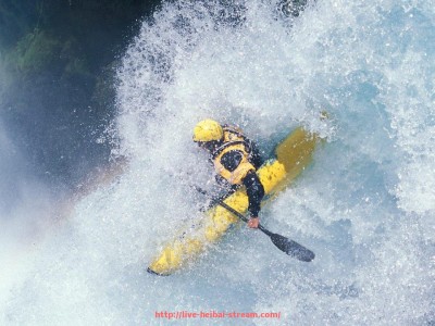 黑白体育直播-德甲联赛知名球队与城市分布完整一览